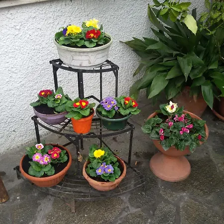 Inn Brigafatta Antica Vigasio